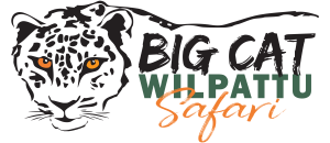 big cat wilpattu logo only